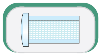 Swimwear Tablecloth